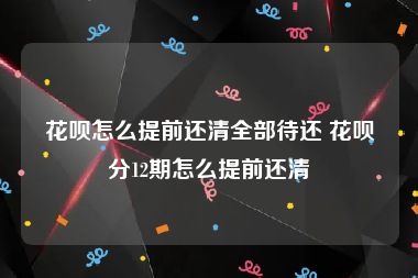 花呗怎么提前还清全部待还 花呗分12期怎么提前还清