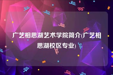 广艺相思湖艺术学院简介(广艺相思湖校区专业)