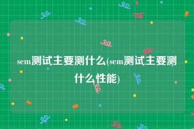 sem测试主要测什么(sem测试主要测什么性能)