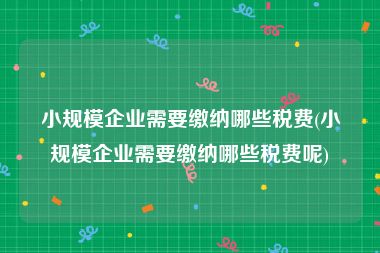 小规模企业需要缴纳哪些税费(小规模企业需要缴纳哪些税费呢)