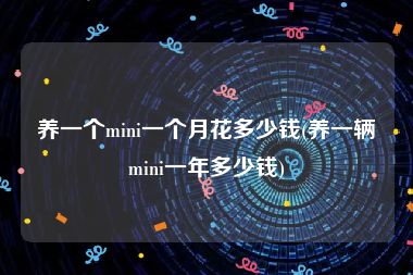 养一个mini一个月花多少钱(养一辆mini一年多少钱)