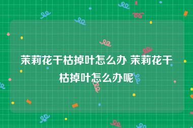 茉莉花干枯掉叶怎么办 茉莉花干枯掉叶怎么办呢