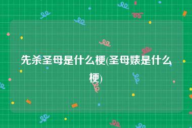 先杀圣母是什么梗(圣母婊是什么梗)