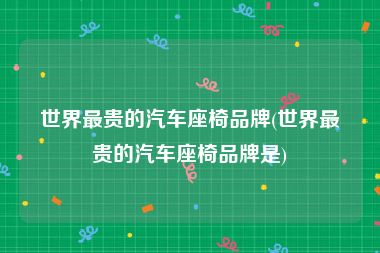 世界最贵的汽车座椅品牌(世界最贵的汽车座椅品牌是)