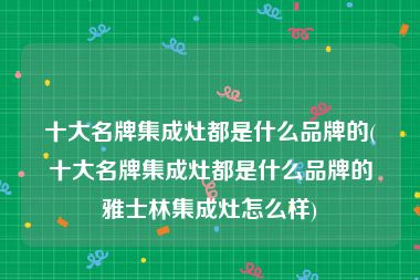 十大名牌集成灶都是什么品牌的(十大名牌集成灶都是什么品牌的雅士林集成灶怎么样)
