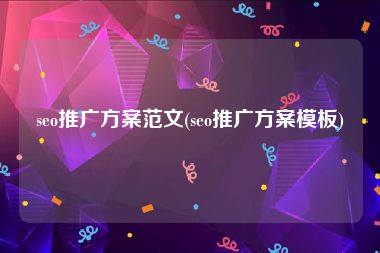 seo推广方案范文(seo推广方案模板)