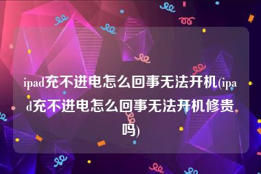 ipad充不进电怎么回事无法开机(ipad充不进电怎么回事无法开机修贵吗)