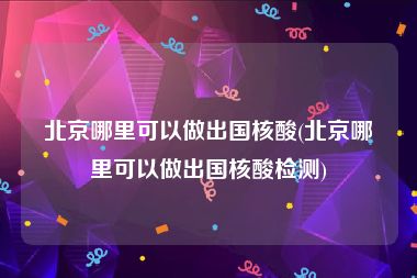 北京哪里可以做出国核酸(北京哪里可以做出国核酸检测)