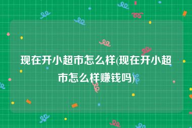 现在开小超市怎么样(现在开小超市怎么样赚钱吗)