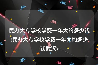 民办大专学校学费一年大约多少钱(民办大专学校学费一年大约多少钱武汉)