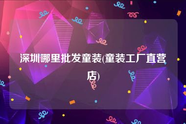 深圳哪里批发童装(童装工厂直营店)