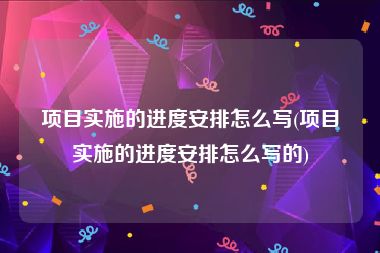 项目实施的进度安排怎么写(项目实施的进度安排怎么写的)