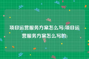 项目运营服务方案怎么写(项目运营服务方案怎么写的)