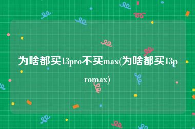 为啥都买13pro不买max(为啥都买13promax)