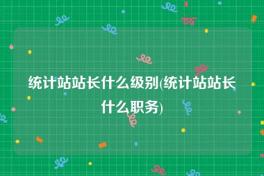 统计站站长什么级别(统计站站长什么职务)