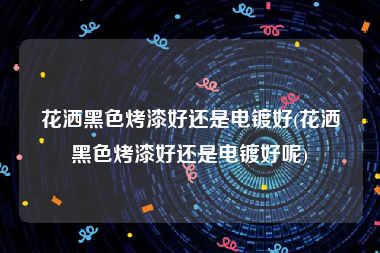 花洒黑色烤漆好还是电镀好(花洒黑色烤漆好还是电镀好呢)