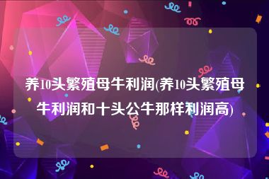养10头繁殖母牛利润(养10头繁殖母牛利润和十头公牛那样利润高)