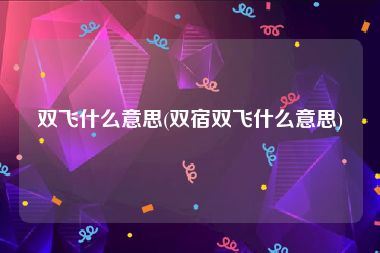双飞什么意思(双宿双飞什么意思)