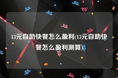 13元自助快餐怎么盈利(13元自助快餐怎么盈利测算)