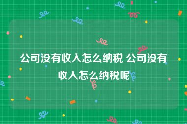 公司没有收入怎么纳税 公司没有收入怎么纳税呢