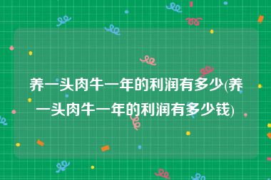 养一头肉牛一年的利润有多少(养一头肉牛一年的利润有多少钱)