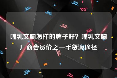 哺乳文胸怎样的牌子好？哺乳文胸厂商会员价之一手货源途径