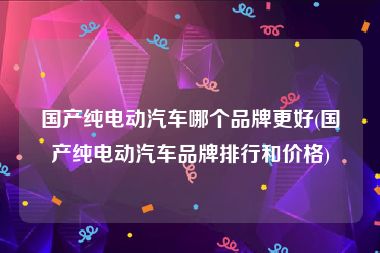国产纯电动汽车哪个品牌更好(国产纯电动汽车品牌排行和价格)