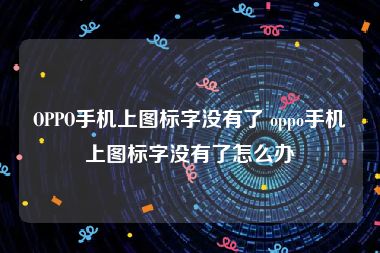 OPPO手机上图标字没有了 oppo手机上图标字没有了怎么办