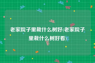 老家院子里栽什么树好(老家院子里栽什么树好看)