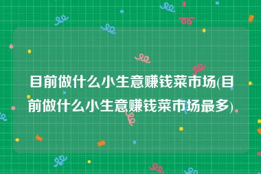 目前做什么小生意赚钱菜市场(目前做什么小生意赚钱菜市场最多)