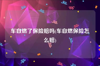 车自燃了保险赔吗(车自燃保险怎么赔)