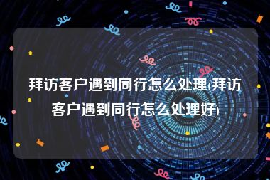 拜访客户遇到同行怎么处理(拜访客户遇到同行怎么处理好)