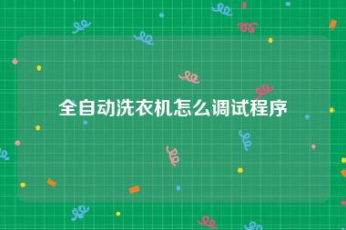全自动洗衣机怎么调试程序