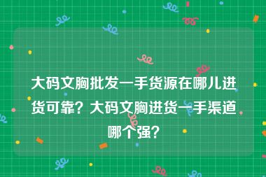 大码文胸批发一手货源在哪儿进货可靠？大码文胸进货一手渠道哪个强？