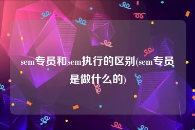 sem专员和sem执行的区别(sem专员是做什么的)