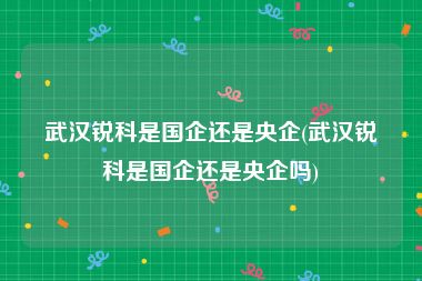 武汉锐科是国企还是央企(武汉锐科是国企还是央企吗)