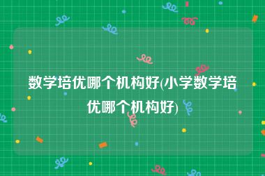 数学培优哪个机构好(小学数学培优哪个机构好)
