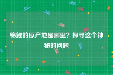 锦鲤的原产地是哪里？探寻这个神秘的问题