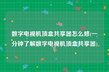 数字电视机顶盒共享器怎么修(一分钟了解数字电视机顶盒共享器)