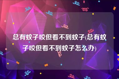 总有蚊子咬但看不到蚊子(总有蚊子咬但看不到蚊子怎么办)