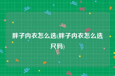 胖子内衣怎么选(胖子内衣怎么选尺码)