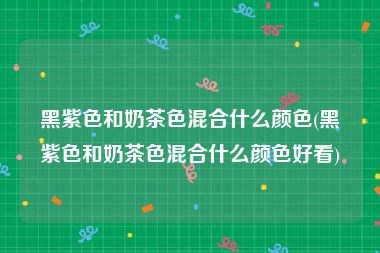 黑紫色和奶茶色混合什么颜色(黑紫色和奶茶色混合什么颜色好看)