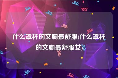 什么罩杯的文胸最舒服(什么罩杯的文胸最舒服女)