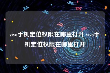 vivo手机定位权限在哪里打开 vivo手机定位权限在哪里打开