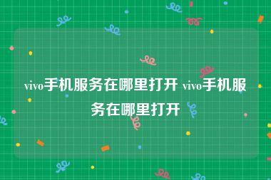 vivo手机服务在哪里打开 vivo手机服务在哪里打开