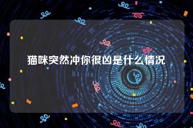 猫咪突然冲你很凶是什么情况