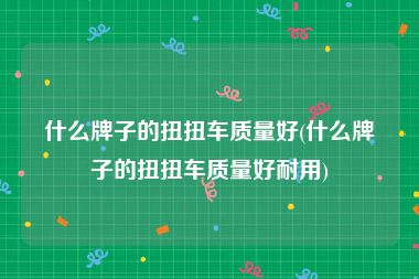 什么牌子的扭扭车质量好(什么牌子的扭扭车质量好耐用)
