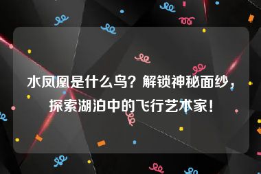 水凤凰是什么鸟？解锁神秘面纱，探索湖泊中的飞行艺术家！