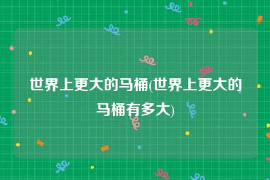 世界上更大的马桶(世界上更大的马桶有多大)