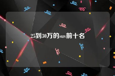 25到30万的suv前十名